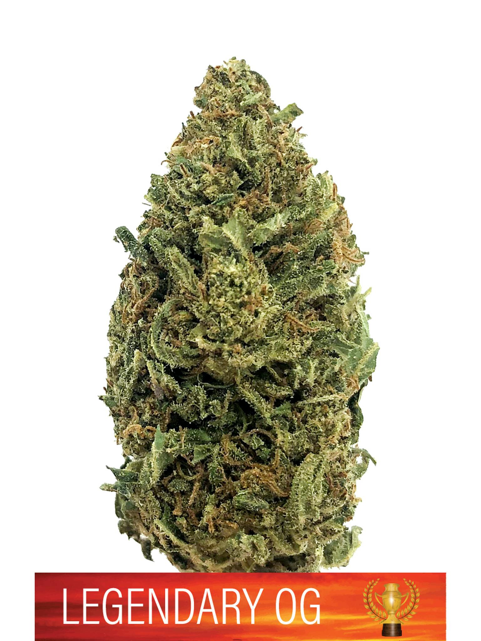 Herbal Remedies of Maine - Legendary OG - CBD Flower 17% - 1