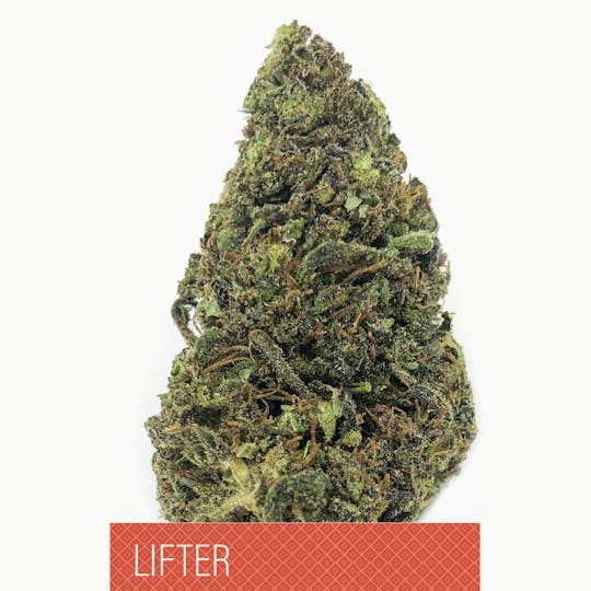 Herbal Remedies of Maine - Lifter - CBD Flower - 1