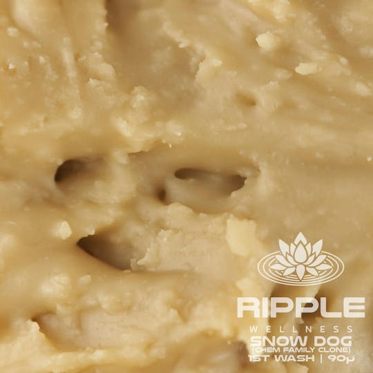 Ripple Wellness - Concentrate - Tier 1 - 90u Live Rosin - Snow Dog - 1