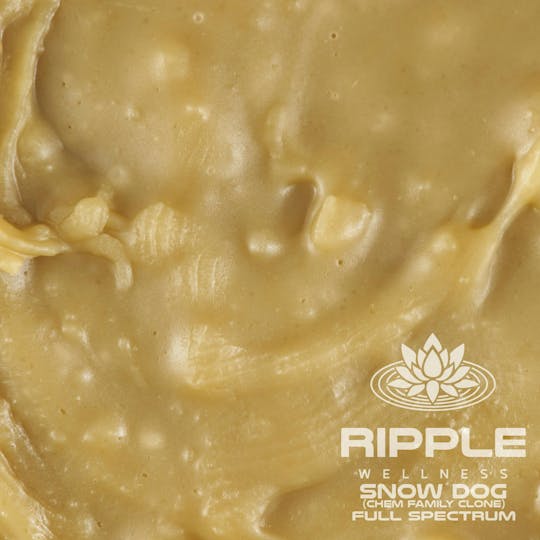 Ripple Wellness - Concentrate - Tier 2 - F/S Live Rosin - Snow Dog - 1