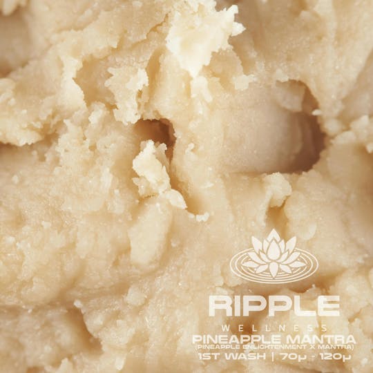 Ripple Wellness - Concentrate - Tier 2 - 73u-120u Live Rosin - Pineapple Mantra - 1