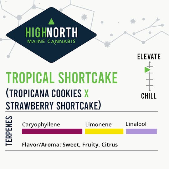 Wellness Connection - Tropical Shortcake - 1