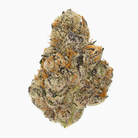 West Coast Cure - Midnight Snack - 3.5G Top Shelf Indoor Flower - 1