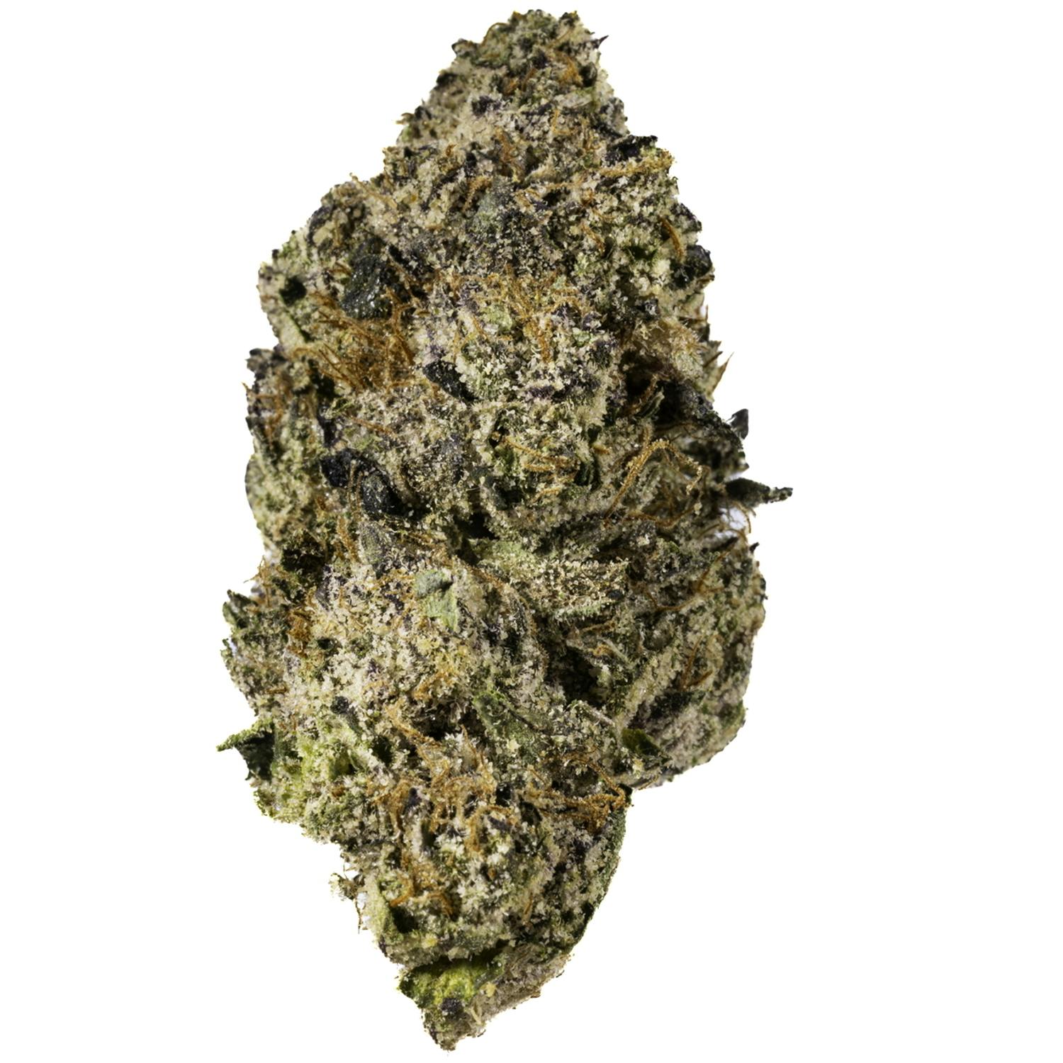 West Coast Cure - Midnight Snack - 3.5G Top Shelf Indoor Flower - 1