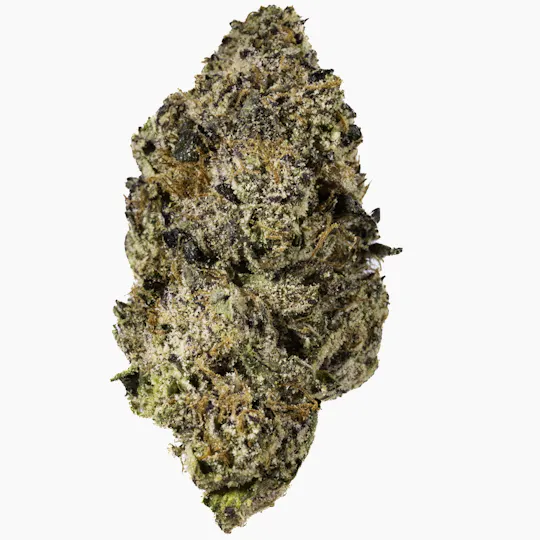 West Coast Cure - Midnight Snack - 3.5G Top Shelf Indoor Flower - 1