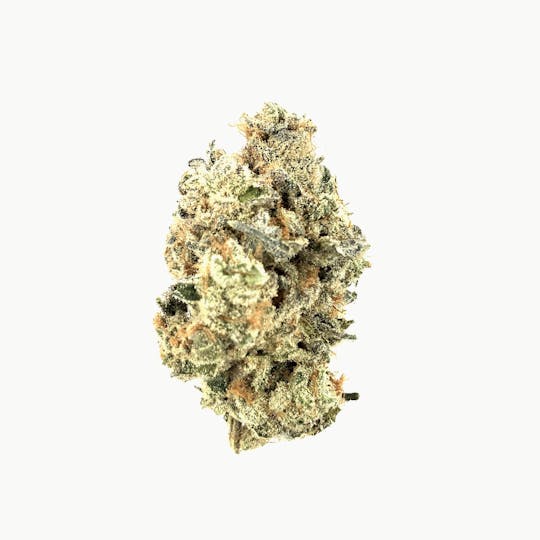 Fuzzy Roots Organics - Mimosa - 1