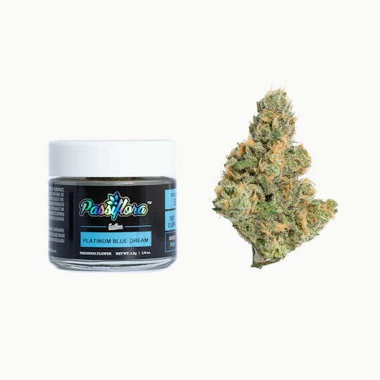 Passiflora - Platinum Blue Dream - 1