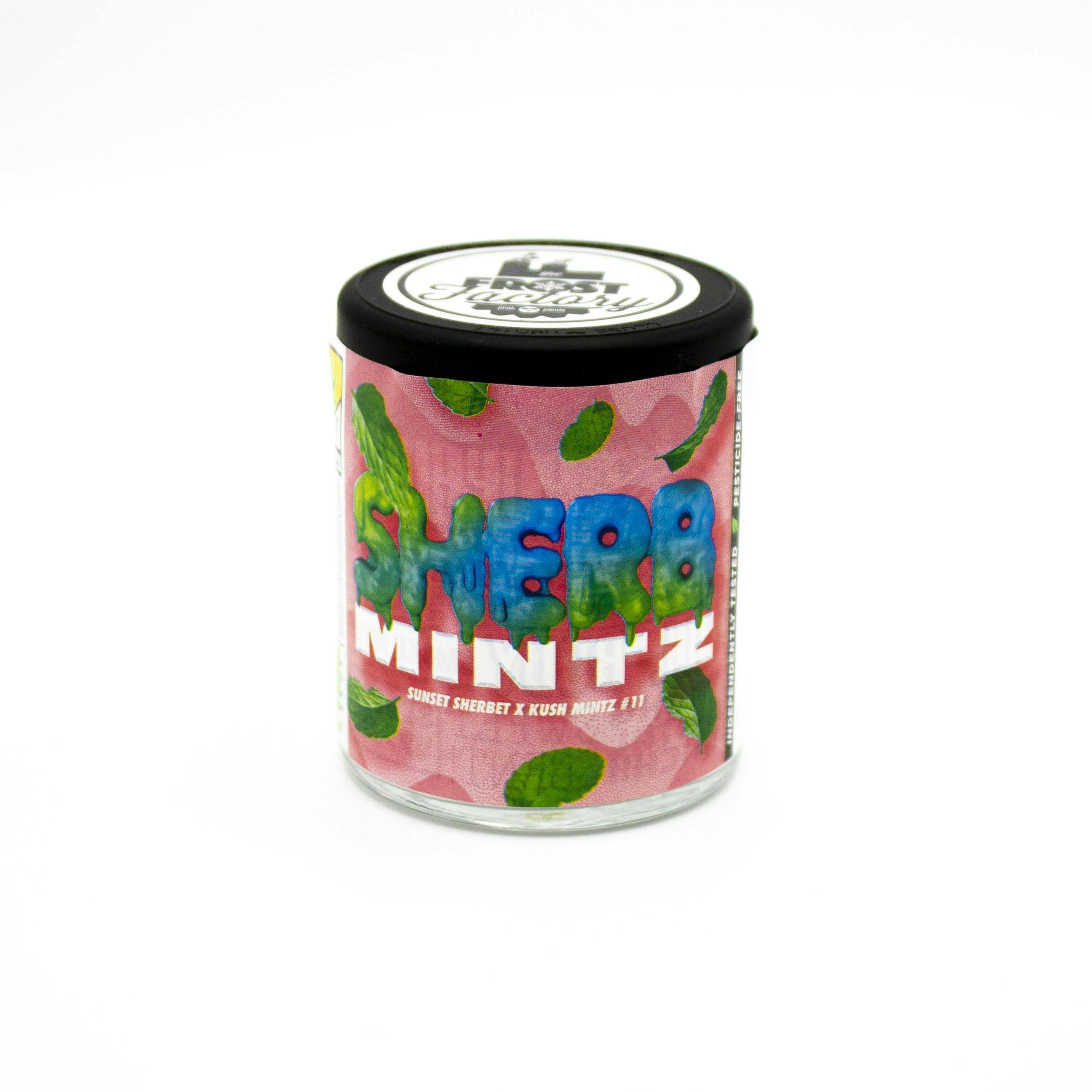 Phat Panda - Sherb Mintz - WA - 1