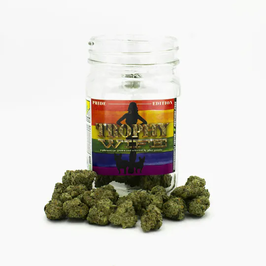 Phat Panda - Platinum | Trophy Wife | Big Buds - 1