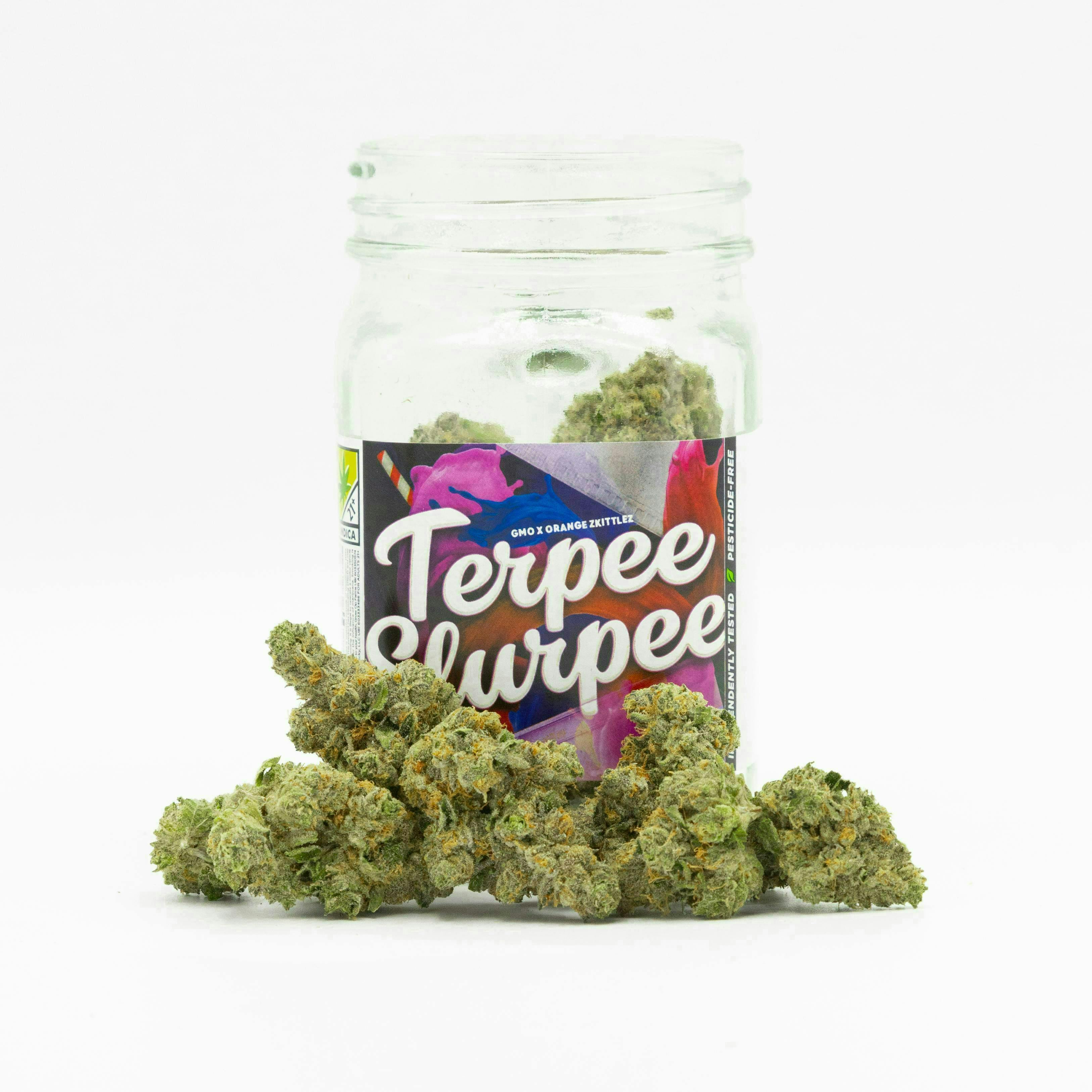 Phat Panda - Terpee Slurpee | Big Buds - 1