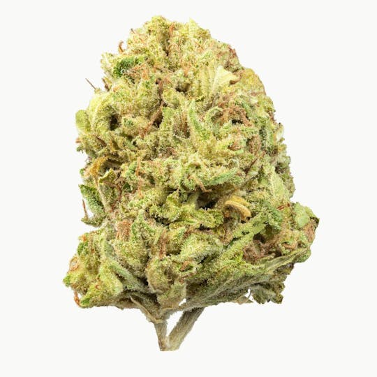 Flow Kana - Blue Lime Pie by Sticky | Silver - 1