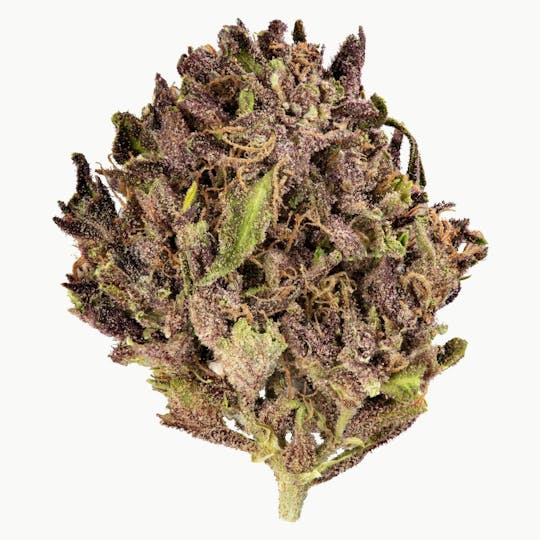 Flow Kana - Sapphire Cream by SEED707 | Silver - 1