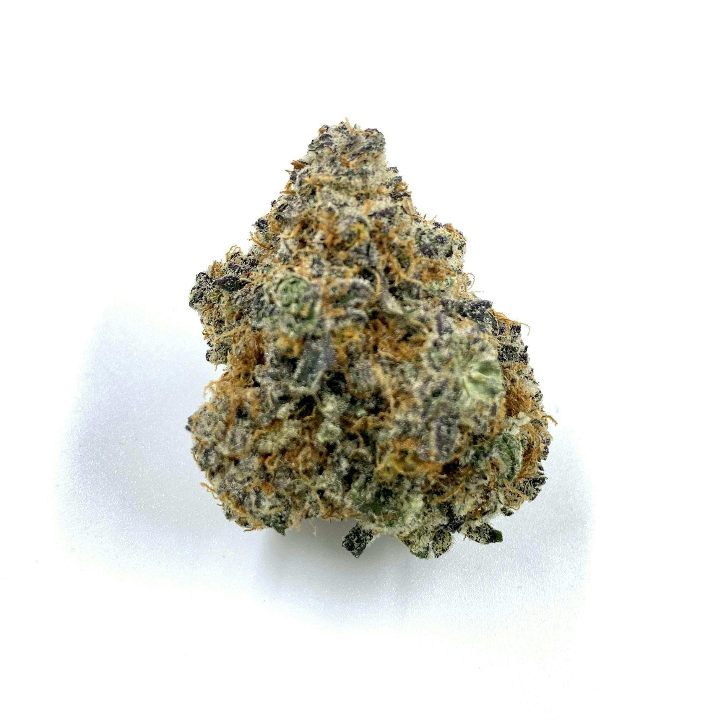 Indico - Wowzers - 1