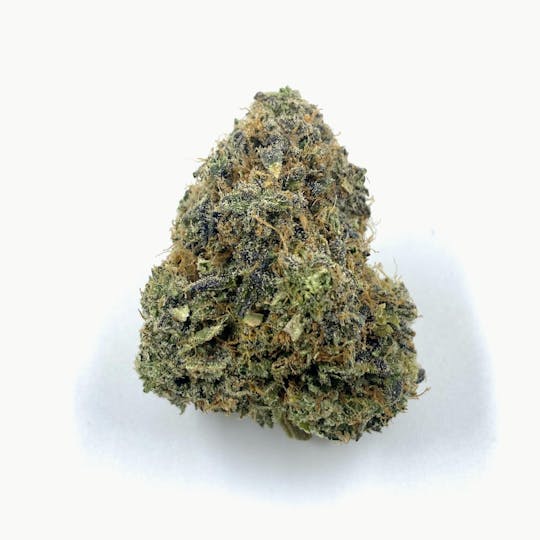 Indico - Limoncello - 1