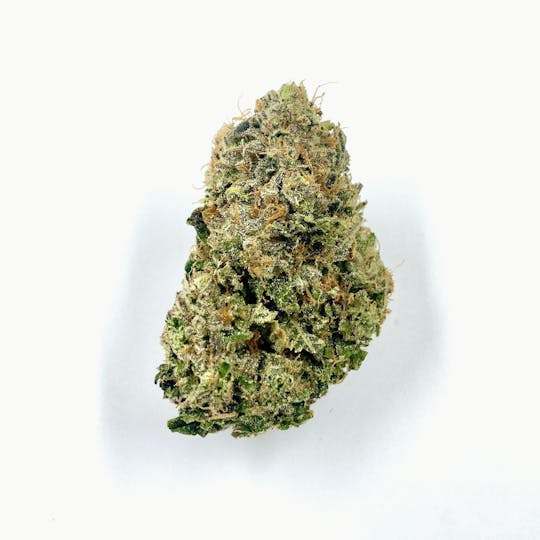 Indico - Purple City Pie - 1