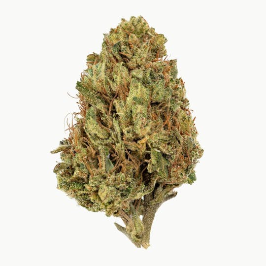 Flow Kana - Caramel Créme by Clover Valley Ranch | Silver - 1