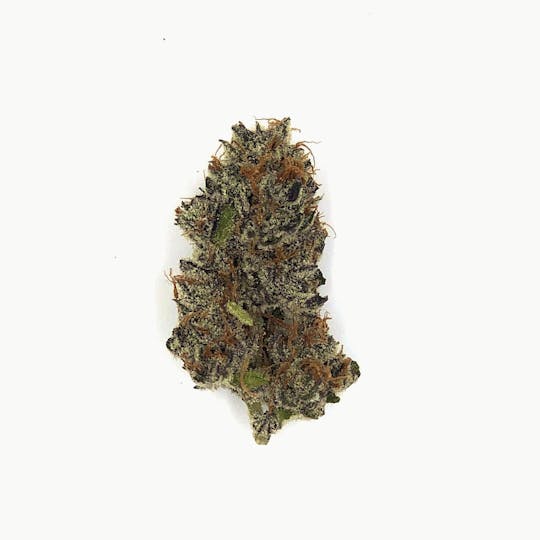 Northeast Growing Company - Blood Orange - 1