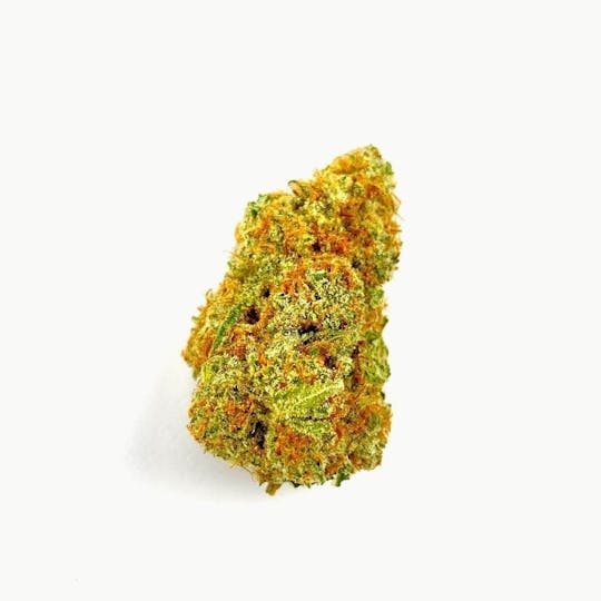 Northeast Growing Company - Galactic Jack - 1