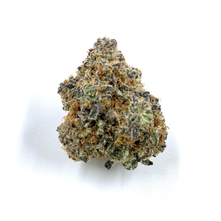 Gamebred Genetics - Wowzers - 1