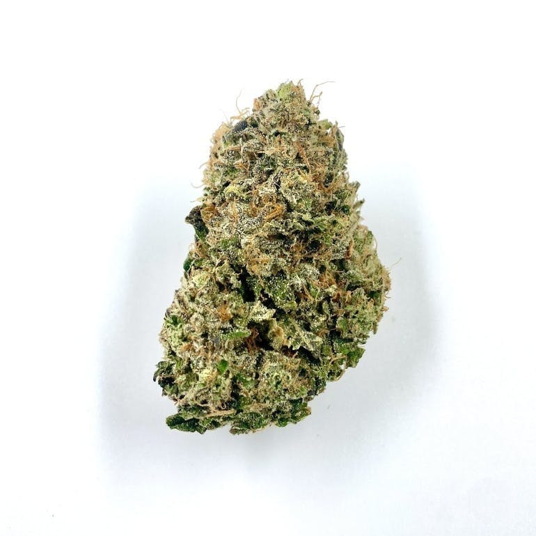 Gamebred Genetics - Purple City Pie - 1