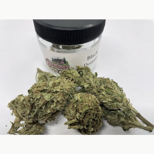 Robinsons of Maine LLC - Black Domina - 1