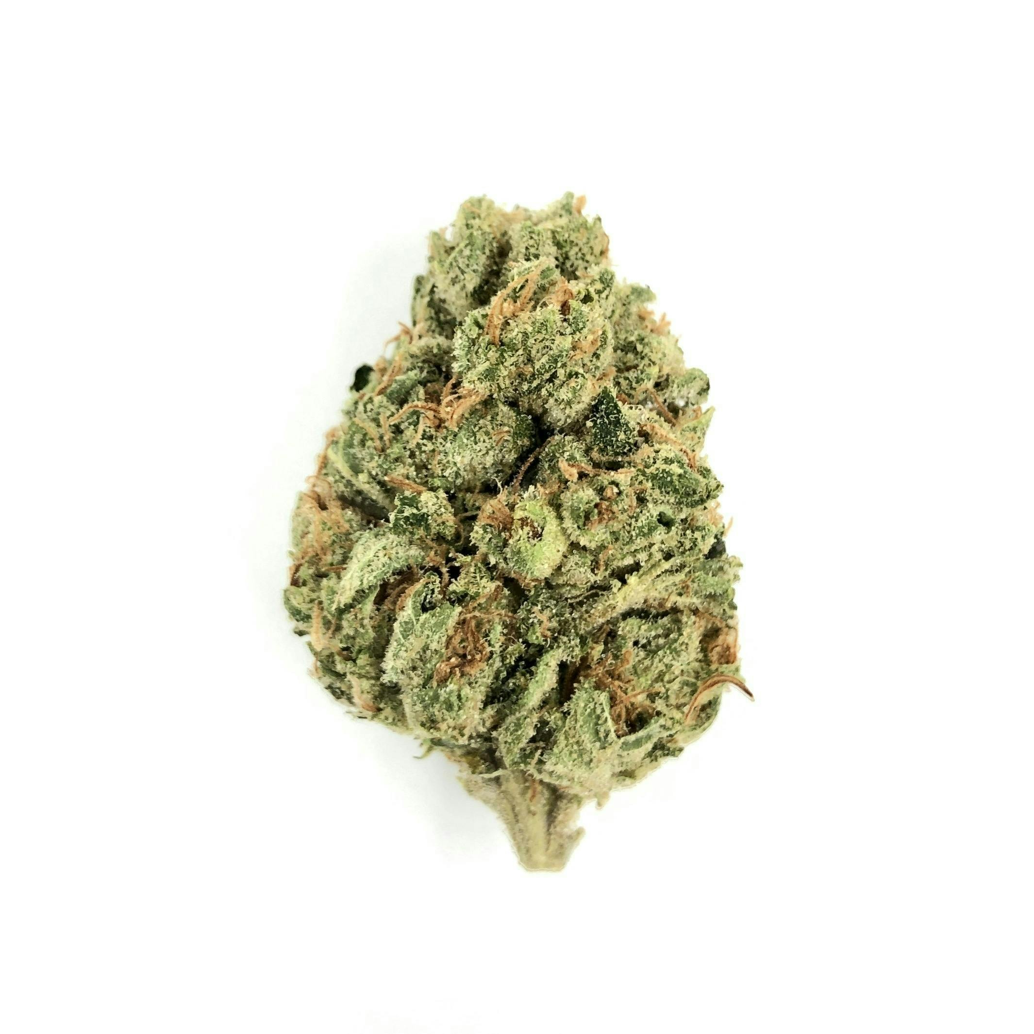 Indico - Sundae Chem - 1