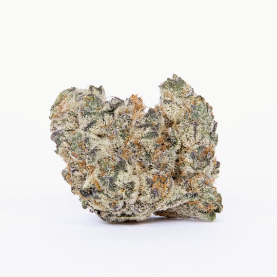 Pure Beauty - Loverboy | 3.5g Indoor - 1