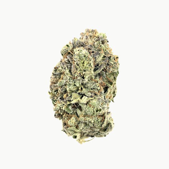 Indico - Sun Cake - 1