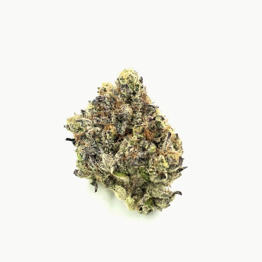 Indico - Wedding Crasher - 1