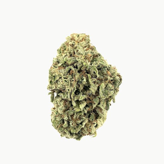 Indico - Silver Kush - 1