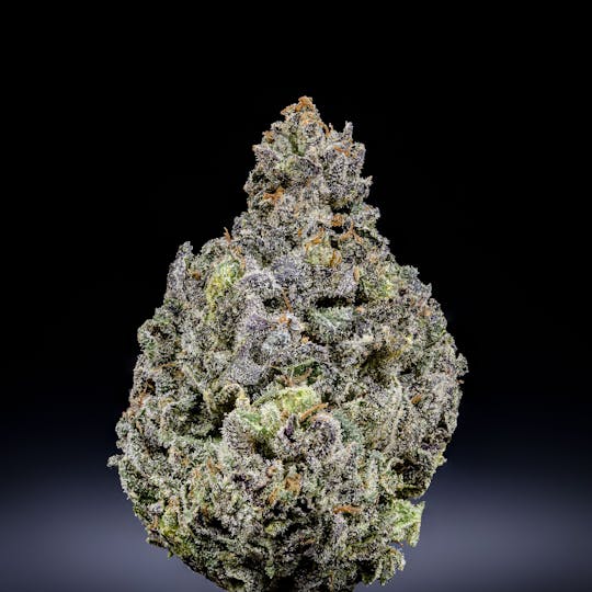 JAR Cannabis Co. - Biscotti by JAR Cannabis Co. - 1