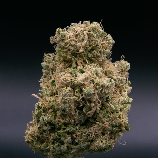 JAR Cannabis Co. - Citrus Soda by JAR Cannabis Co. - 1