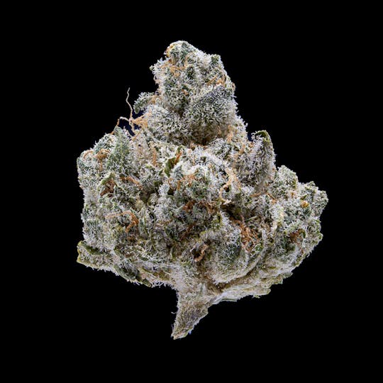 JAR Cannabis Co. - Clementine Kush by JAR Cannabis Co. - 1