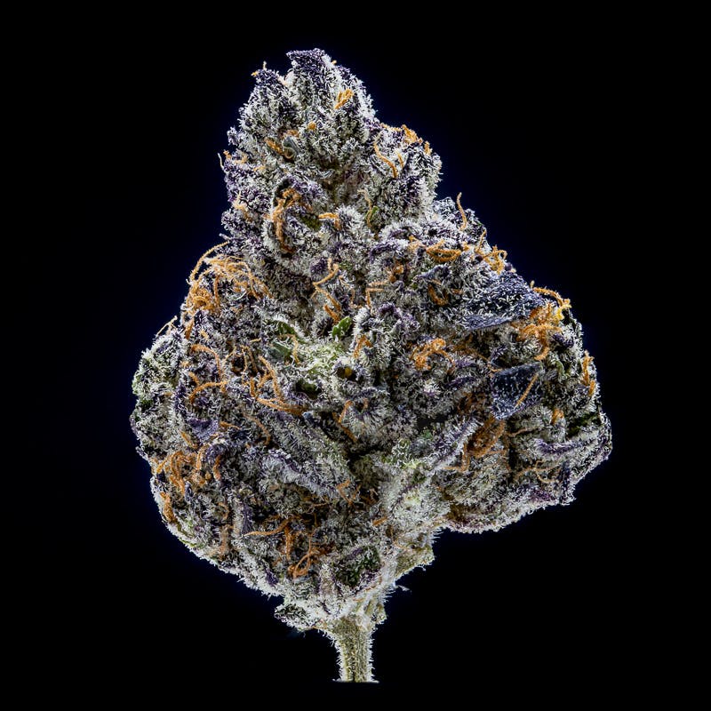 JAR Cannabis Co. - Ice Cream Cake by JAR Cannabis Co. - 1