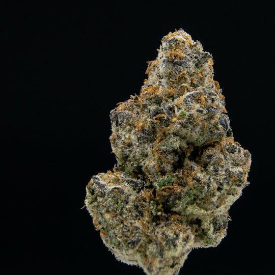 JAR Cannabis Co. - Lava Cake by JAR Cannabis Co. - 1