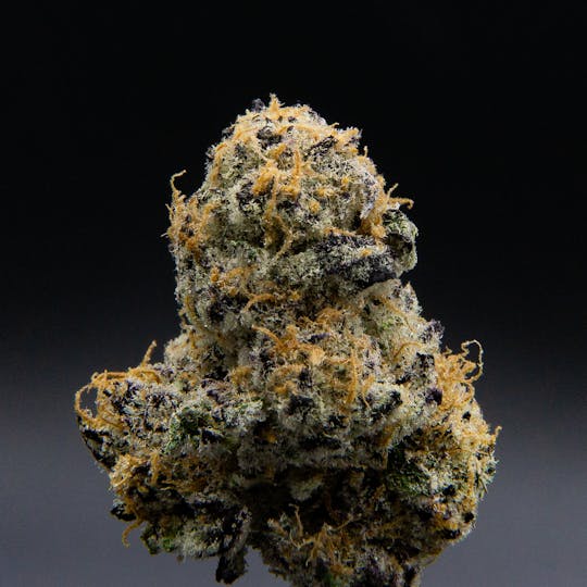 JAR Cannabis Co. - Meat Breath by JAR Cannabis Co. - 1