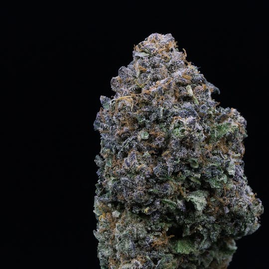 JAR Cannabis Co. - Mimosa by JAR Cannabis Co. - 1