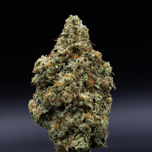 JAR Cannabis Co. - Motorbreath by JAR Cannabis Co. - 1