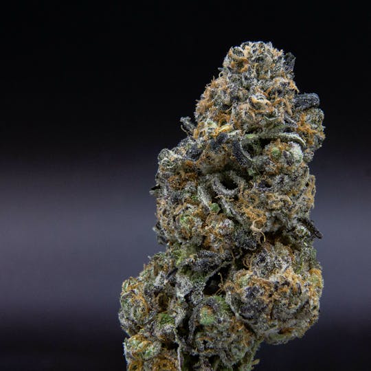 JAR Cannabis Co. - Peanut Butter Breath by JAR Cannabis Co. - 1