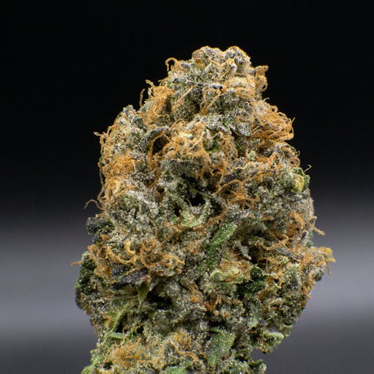JAR Cannabis Co. - Peanut Butter Breath x Zkittlez by JAR Cannabis Co. - 1