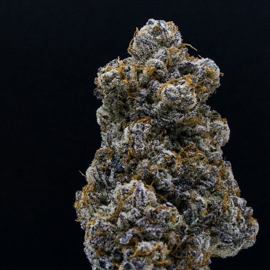 JAR Cannabis Co. - Purple Punch by JAR Cannabis Co. - 1