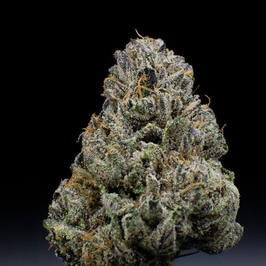 JAR Cannabis Co. - Runtz by JAR Cannabis Co. - 1