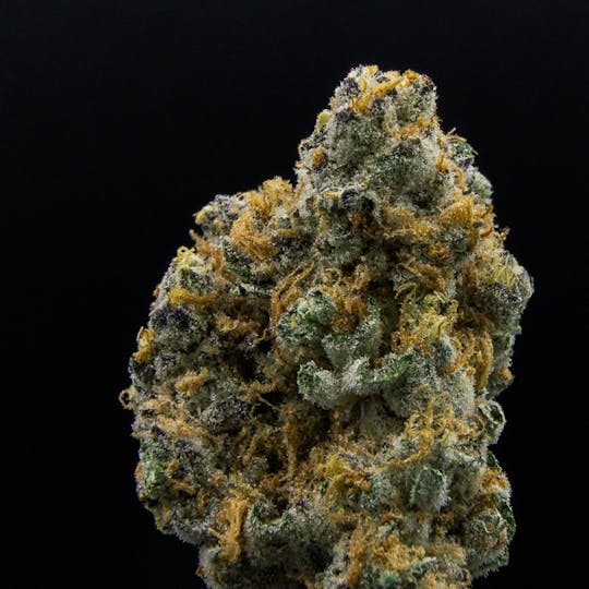 JAR Cannabis Co. - Sundae Driver by JAR Cannabis Co. - 1