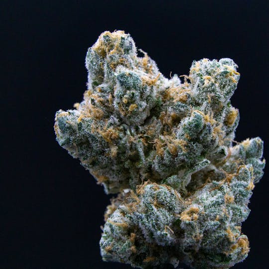 JAR Cannabis Co. - White Tahoe Cookies by JAR Cannabis Co. - 1