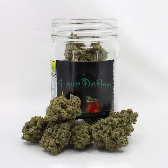 Phat Panda - Love Potion #9 - WA - 1
