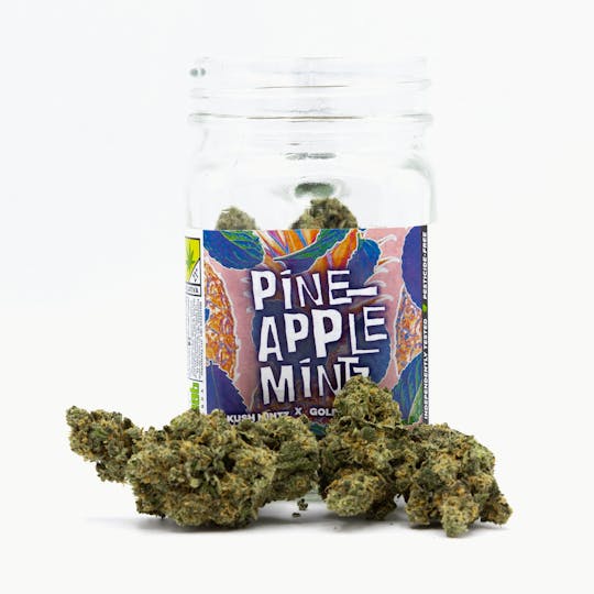 Phat Panda - Pineapple Mintz - WA - 1