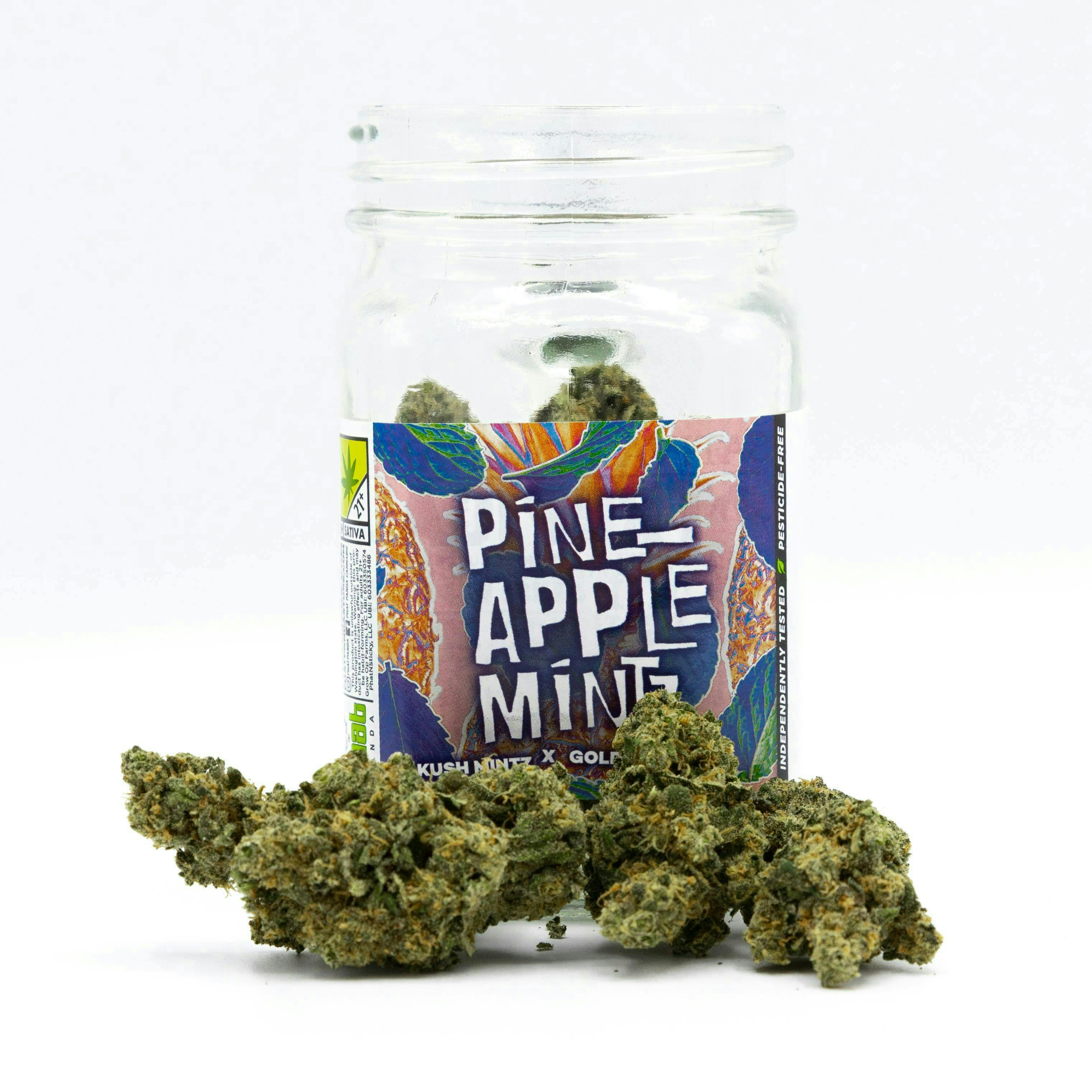 Phat Panda - Phat Panda | Pineapple Mintz | Big Buds - 1