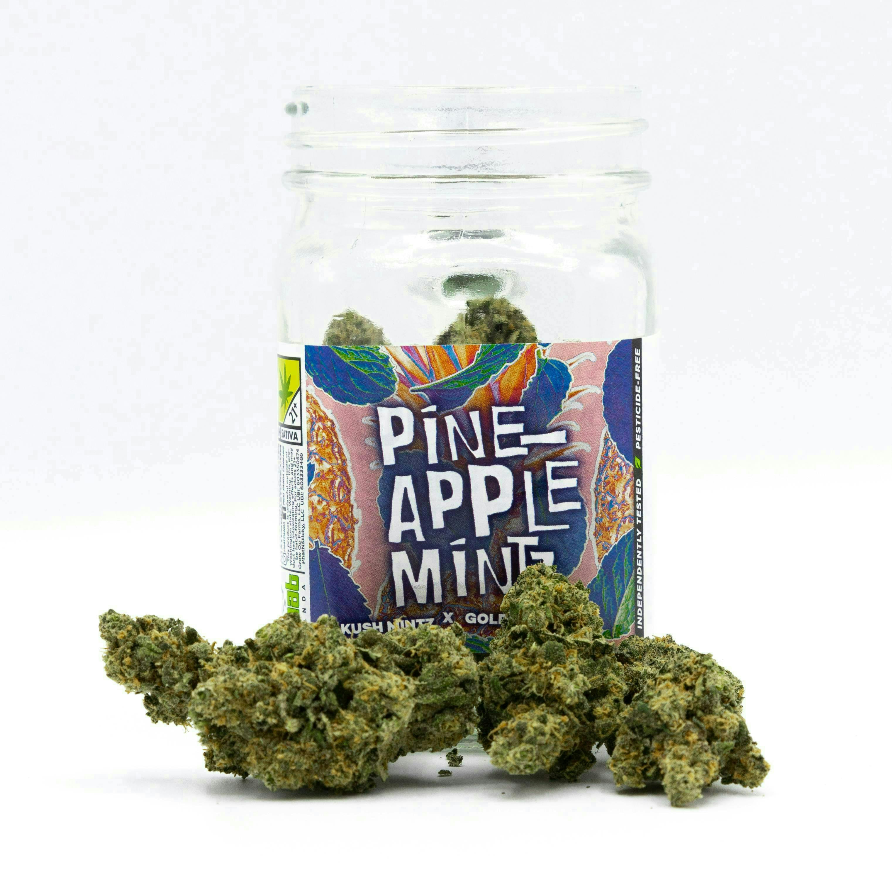 Phat Panda - Pineapple Mintz | Big Buds - 1