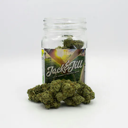 Phat Panda - Phat Panda | Jack & Jill | Big Buds - 1