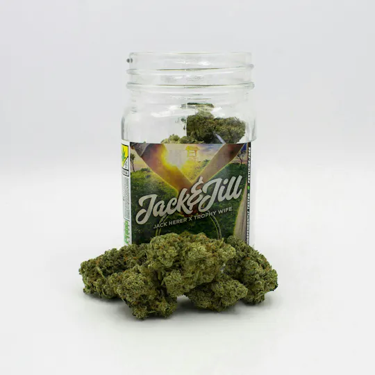 Phat Panda - Jack & Jill | Big Buds - 1
